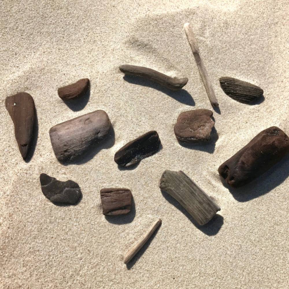 éclats de bois flotté dans le sable 